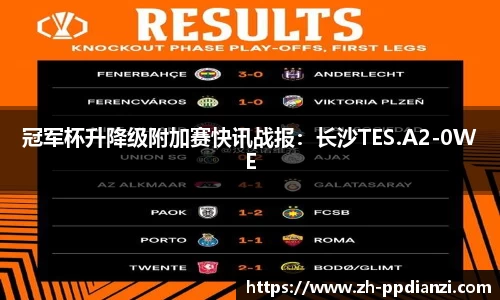 冠军杯升降级附加赛快讯战报：长沙TES.A2-0WE